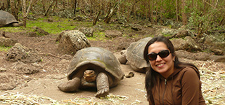 Turtle | Galapagos