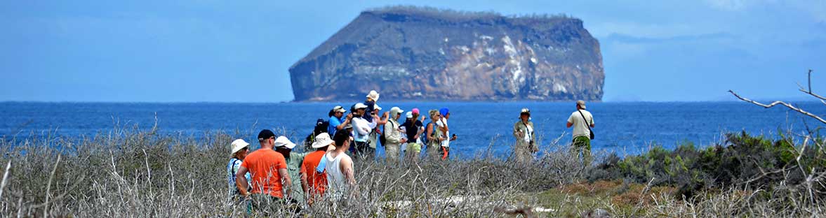 Turistas