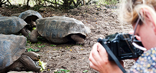 El Barranco | Islas Galápagos