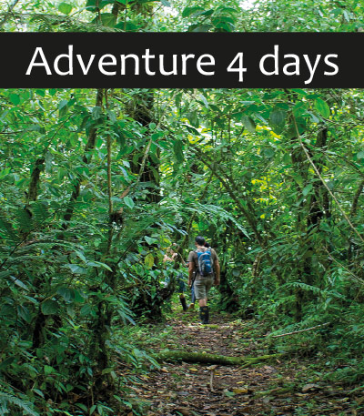 Lodge Amazónico Hakuna Matata | Tour de Aventura | 4 días