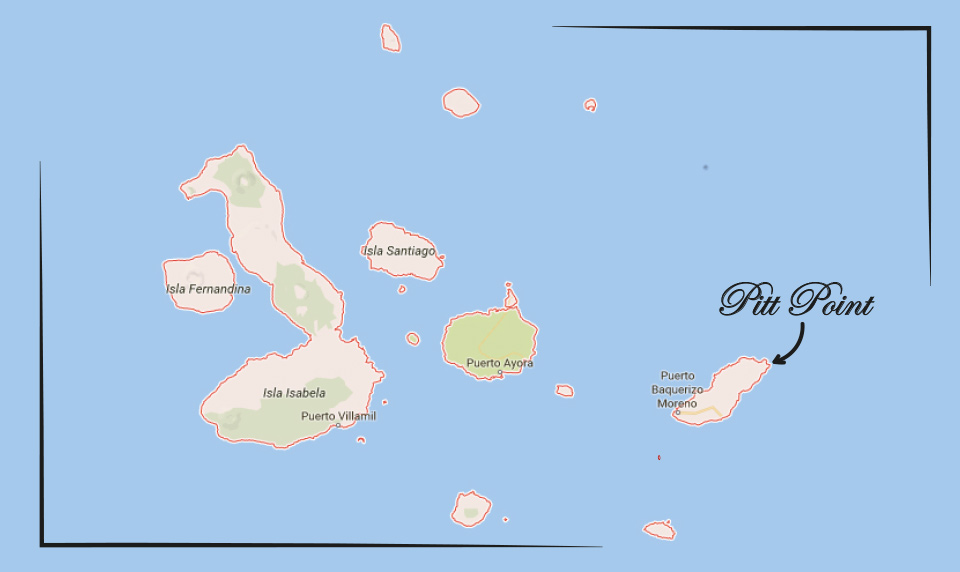 Punta Pitt itinerary | San Cristobal Island | Galapagos Hopper