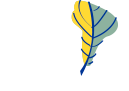 Latin Trails