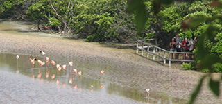 galapagos islands isabela tours