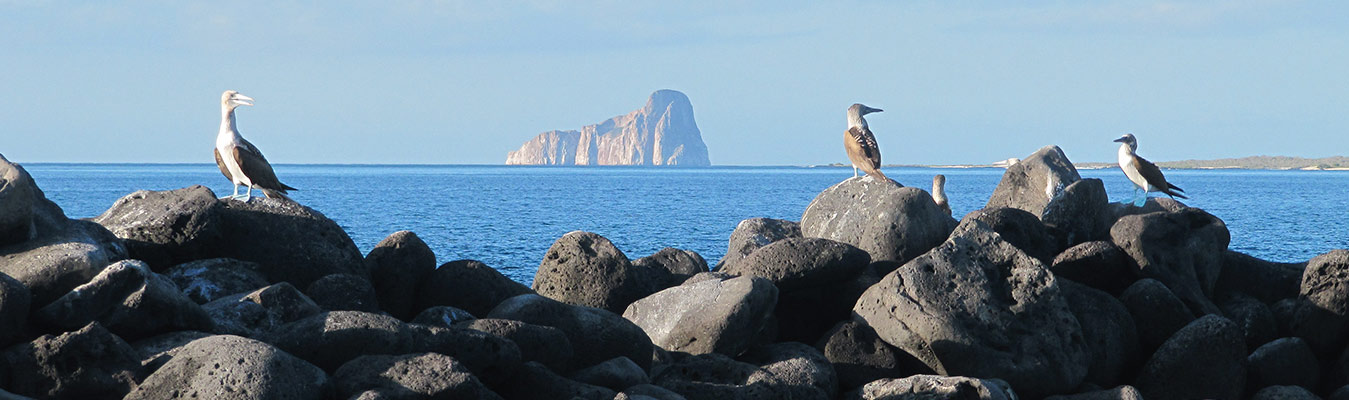 San Cristobal island Galapagos