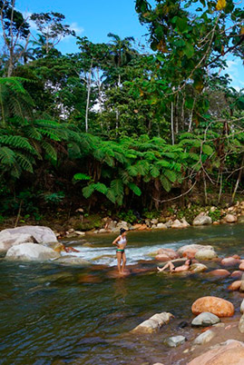 Amazon tours latin trails