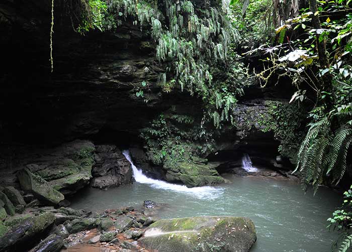 Hakuna-Matata-Amazon-Lodge-Latin-Trails7