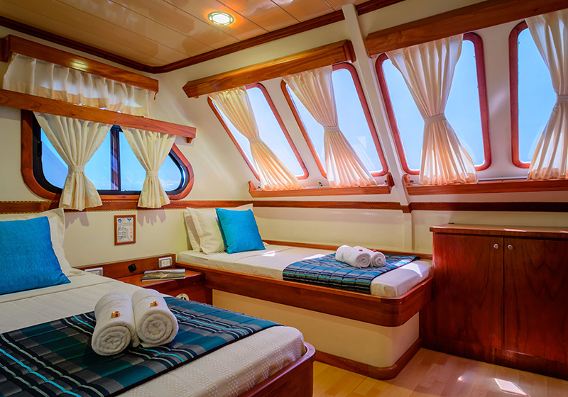 Seaman Journey | Double Cabin | Galapagos Cruise