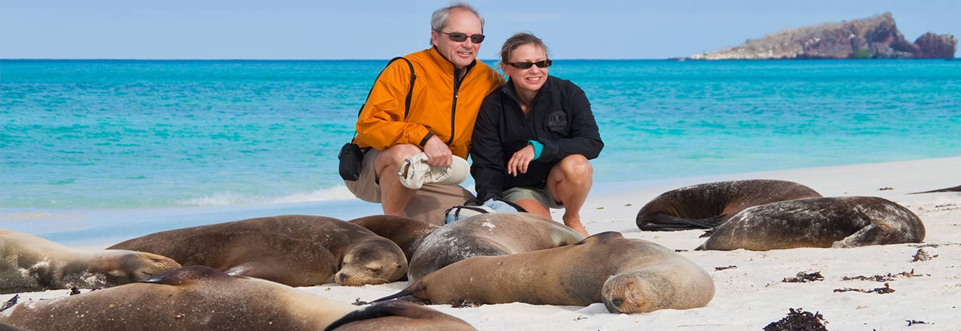 Lobos Marinos | Galápagos