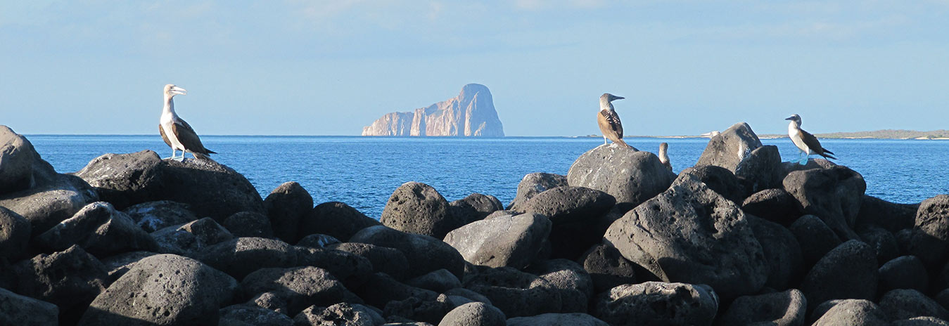 Isla San Cristóbal | Galápagos