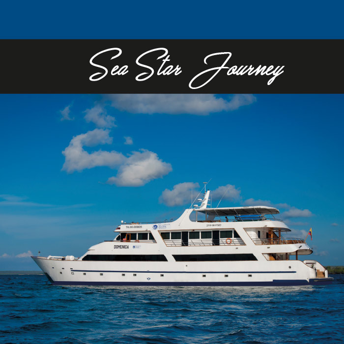 Galapagos cruises | Sea Star Journey