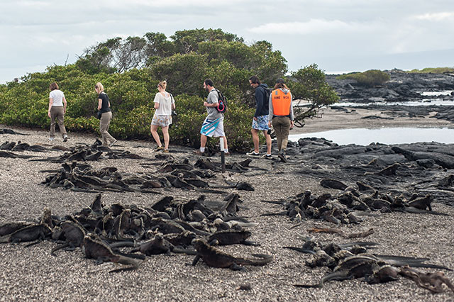 Experiencias en las islas Galápagos
