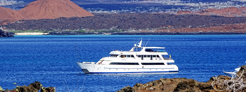 Crucero | Islas Galápagos 