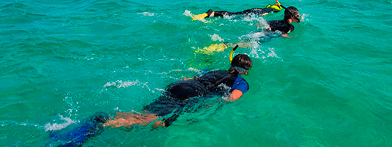 snorkel in galapagos