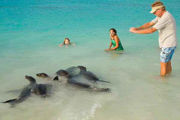 Sealion Galapagos Islands