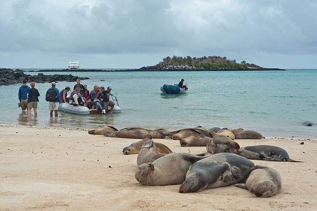 Galapagos islands wet landing