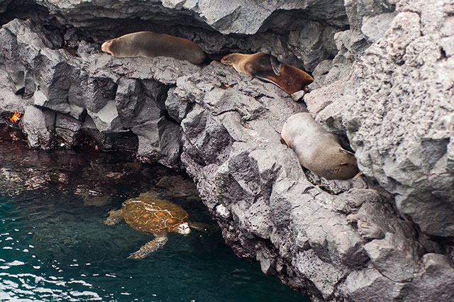 tours a las islas Galápagos