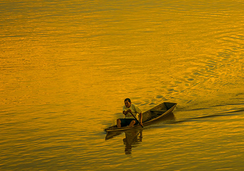 Bosque Amazónico | Crucero Fluvial Amazónico