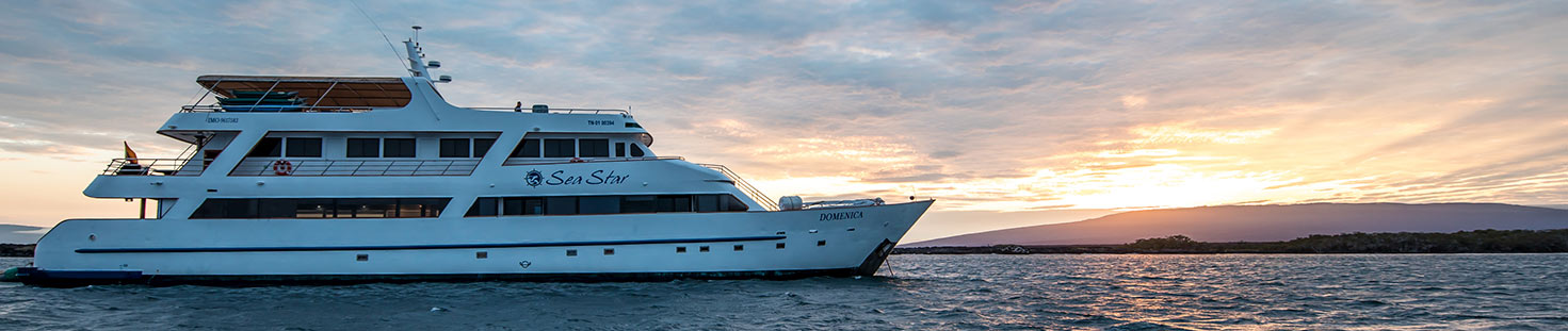 Sea Star Journey |Galapagos Cruises