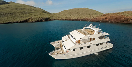 Our Galapagos Cruises