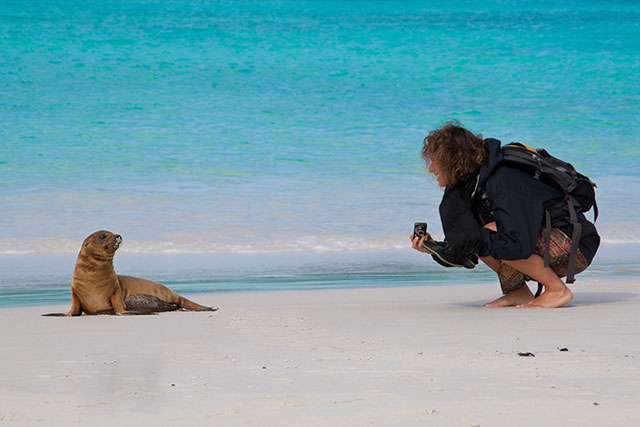 galapagos islands sea lions