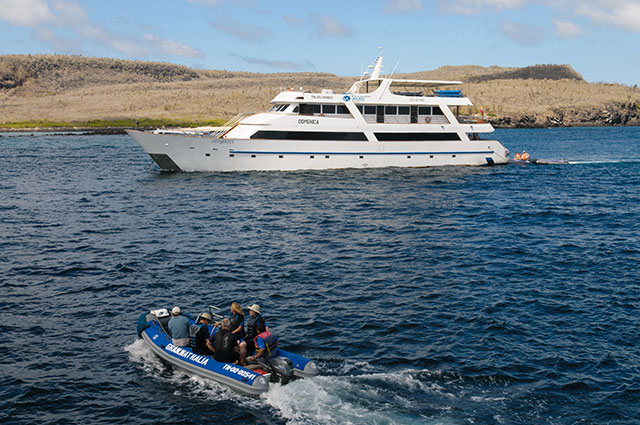 Viaje estrella de mar Crucero Galápagos
