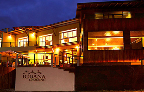 iguana crossing hotel galapagos islands