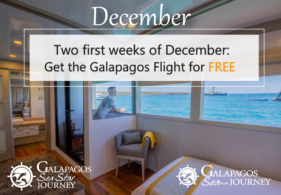Galapagos Cruises Last Minutes december