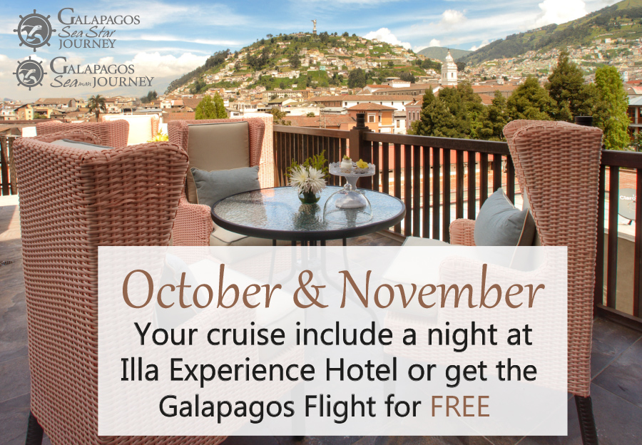 Galapagos Cruises Last Minutes October and November