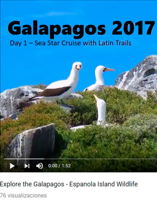 galapagos-experience