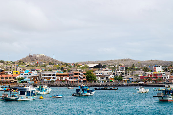 Puerto Ayora | Islas Galápagos | Isla Santa Cruz