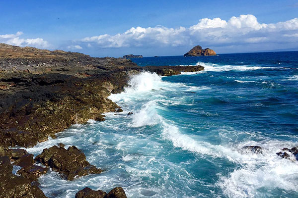 Sombrero Chino | Islas Galápagos