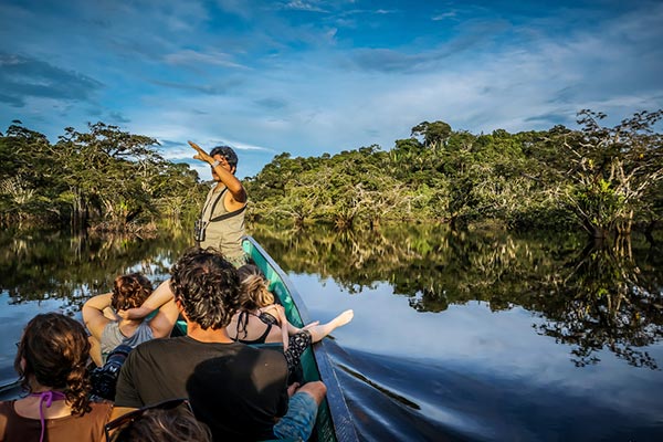 Bosque lluviosos Amazónico | Ecuador