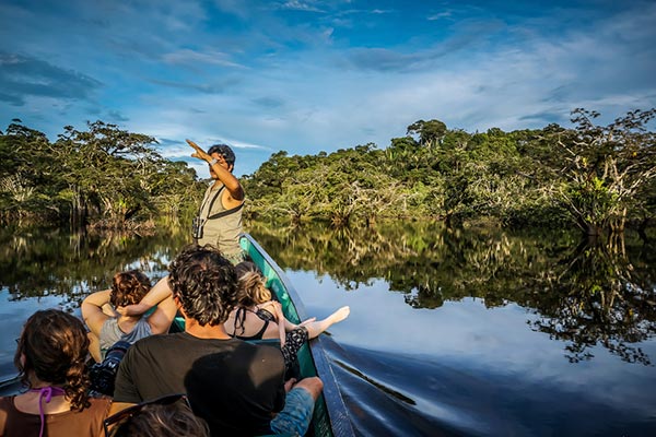 Amazon Rainforest Ecuador