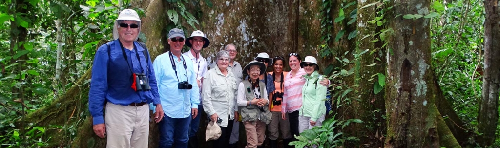 amazon-cruise-and-amazon-tours-manatee