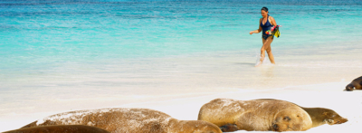 Sea Lions | Galapagos Islands