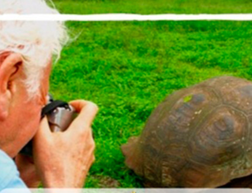 When is the Best time for Seniors to Travel to Galapagos?