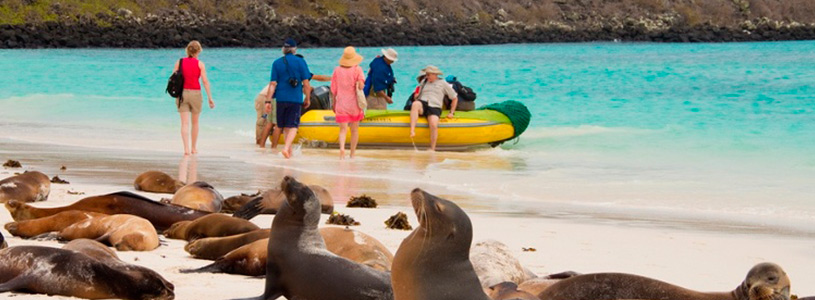 tour operators galapagos islands