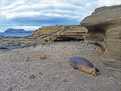 Hermosos paisajes en Galápagos para los amantes de la fotografía1