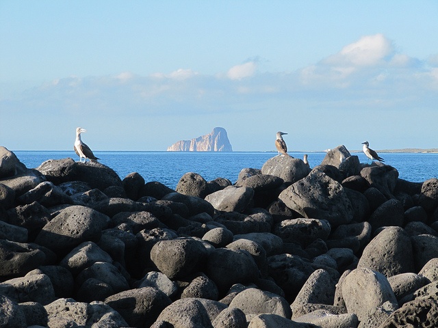 Hermosos paisajes en Galápagos para los amantes de la fotografía3