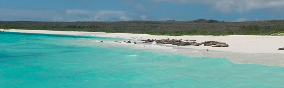 Hermosos-paisajes-en-Galapagos-para-los-amantes-de-la-fotografia6