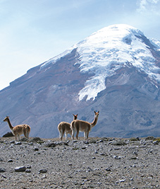 Chimborazo-ecuador-Latin-trails