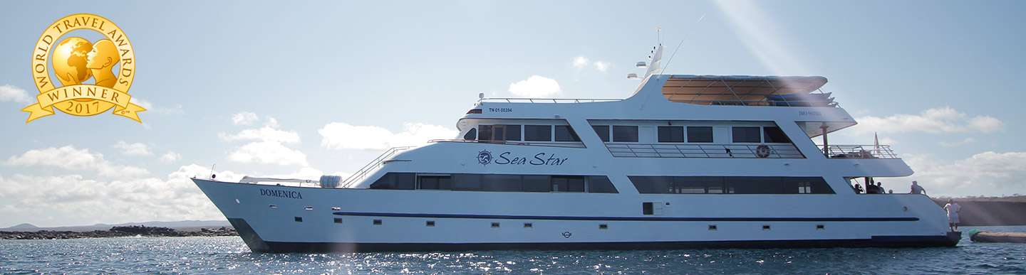 Sea Star Journey Galapagos cruise