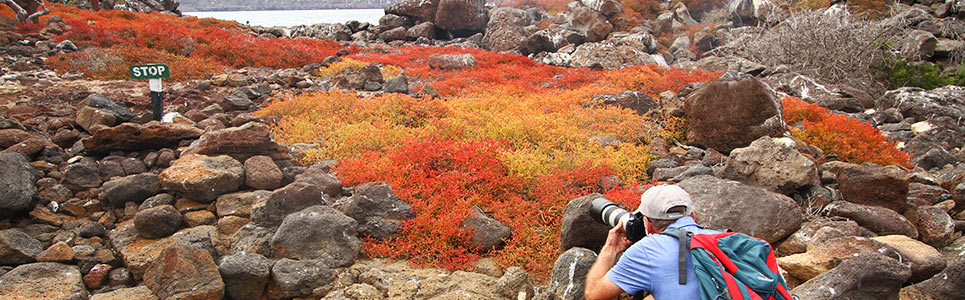 Galapagos Islands Tours | Island Hopping 