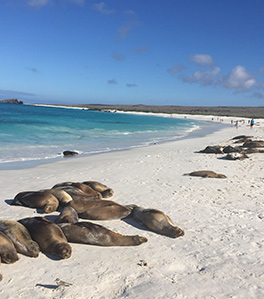 what-is-the-best-itinerary-in-galapagos10