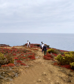 what-is-the-best-itinerary-in-galapagos6