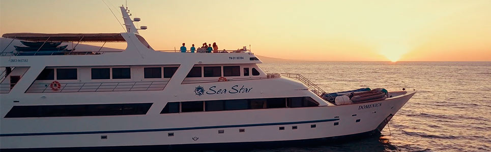 Sea Star Journey | Galapagos cruise