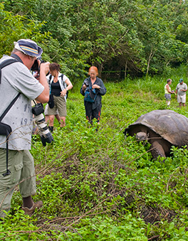 Mandatory Insurance for Incoming Travelers to Galapagos Latin Trails