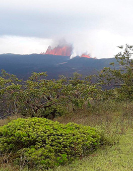 Sierra Negra Volcano Erupted in Isabela Island Latin Trails