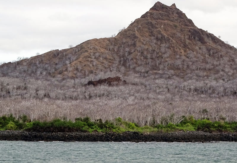 Cerro Dragon Galapgos