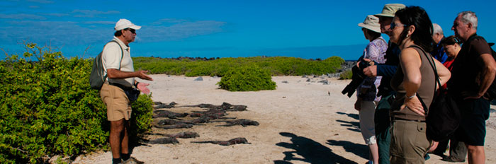 La importancia de los guías en Galápagos